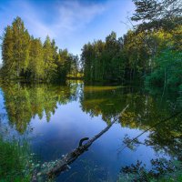Лесное озеро :: Vladimbormotov 