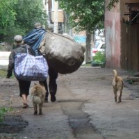 Корги Пемброк и собачья жизнь нашего города!!!... :: Alex Aro Aro Алексей Арошенко