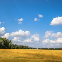 Родина моя - Беларусия! :: Екатерина Счасная