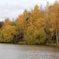 Осень. :: Николай Николаевич 