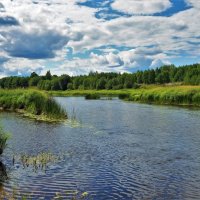 Молога река в летнем очаровании... :: Sergey Gordoff