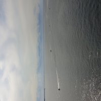 Вид на финский залив :: Яна Михайловна