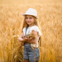 В поле пшеницы :: Елена Рябчевская