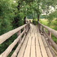 Деревянный пешеходный мост в Киржаче, 555 м :: Елена 