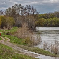 Прогулка в апреле.. :: Светлана Фокша