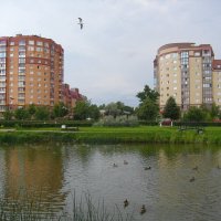 Парк с новым прудом на Александровской улице. :: Лия ☼