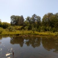 Заливчик на речке Каркаралинск. :: Андрей Хлопонин