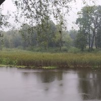 Дождь на реке :: Надежда Буранова 
