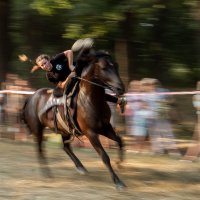 На скорости :: Анна Вязникова