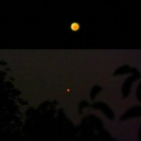 закат Венеры, восход Юпитера :: Alisa Koteva 