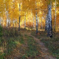 Дорога в Осень :: tamara kremleva