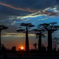 Закат на Мадагаскаре :: Евгений Печенин
