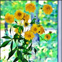 Цветы на окне :: Валерий Викторович РОГАНОВ-АРЫССКИЙ