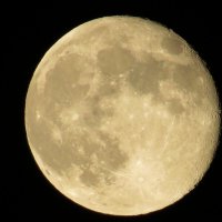 Луна :: Вера Щукина