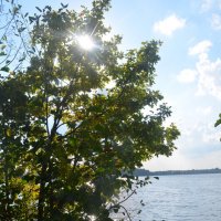 Бабье Лето на озере Сорито, 12 сентября 2021... :: Владимир Павлов