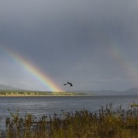 Долететь до радуги :: Сергей Шаврин