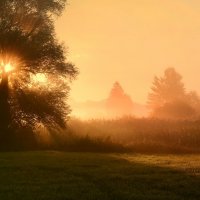 misty morning :: Elena Wymann