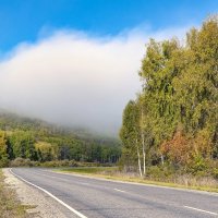 Эх, дороги, пыль да туман... :: Владимир Деньгуб