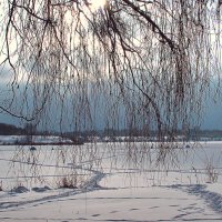 Зимнее озеро :: Игорь Сычёв