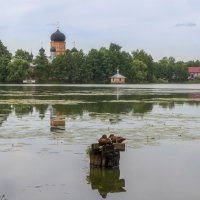 Введенское озеро :: Сергей Цветков