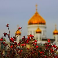 Два берега  реки :: олег свирский 