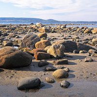 Каменистый берег, отлив :: Сергей Курников