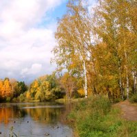 Осень на озере :: владимир тимошенко 