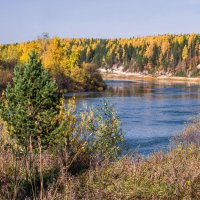 Осень на реке Ижма (коми ИзъВа - каменистая вода), Сосногорск, Коми. Место мировой находки :: Николай Зиновьев