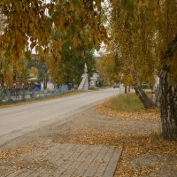 Осень в сибирском селе :: Сергей Шаврин