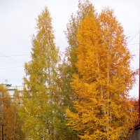 Осень в городе :: Наталья Пендюк Пендюк