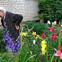 1 октября - Международный День пожилого человека. :: Татьяна Помогалова
