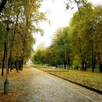 Осень :: Радмир Арсеньев