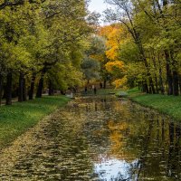 Осенний парк :: Ирина Соловьёва