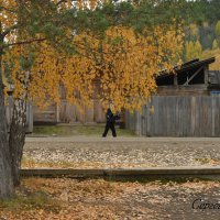 Осень идёт по селу :: Сергей Шаврин