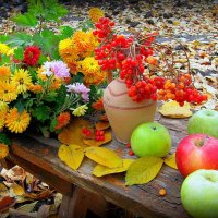 Художница-осень творит вдохновенно, Открыла в саду городском вернисаж :: TAMARA КАДАНОВА