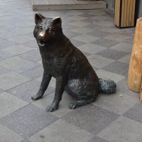 Собака на Новокузнецкой улице в Москве. :: Александр Качалин
