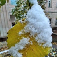 Первый снег-1 :: Асылбек Айманов