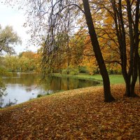 Александровский парк :: Наталья Герасимова