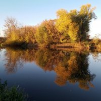 Осенние сюжеты Орехового озера :: Galina Solovova