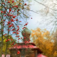 Храм на Бутовском полигоне. :: Oleg Rastorguev
