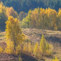 Палитра октября... :: Владимир Жданов