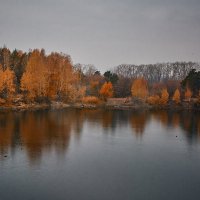 Осенний пейзаж :: Мария Шабурникова