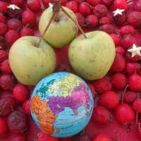 Наша планета Земля - это  Адамово яблоко и яблоко раздора \\поэт-философ Михаил Арошенко\\... :: Alex Aro Aro Алексей Арошенко