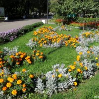 Цветники в парке :: Нина Бутко