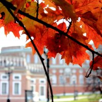 Осень в Царицыно :: boris kantor