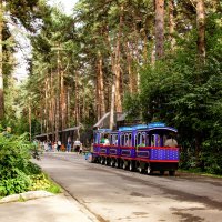 По аллее зоопарка :: Сергей Царёв