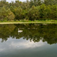 Осенью на озере :: Игорь Сикорский