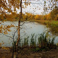 Осенний пруд. :: Татаурова Лариса 