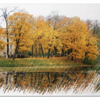 Осенняя краса... :: Tatiana Markova