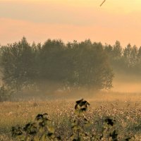 СТЕЛЕТСЯ УТРЕННИЙ ТУМАН :: Валентина 